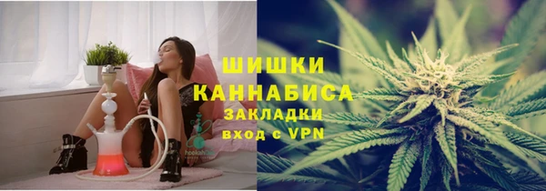 ГАЛЛЮЦИНОГЕННЫЕ ГРИБЫ Алексин