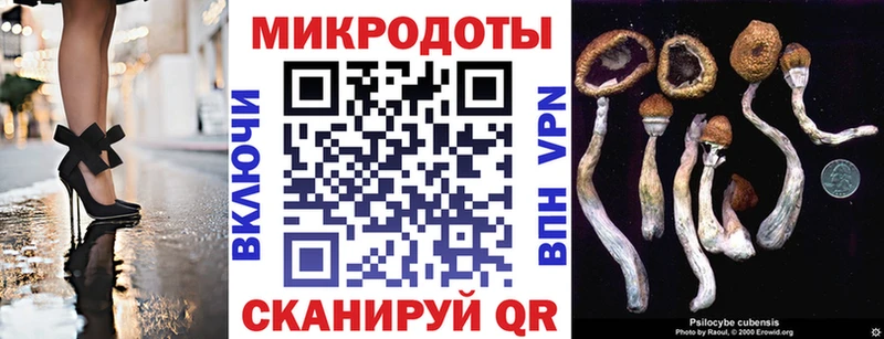Галлюциногенные грибы Psilocybine cubensis  закладка  MEGA зеркало  Лаишево 